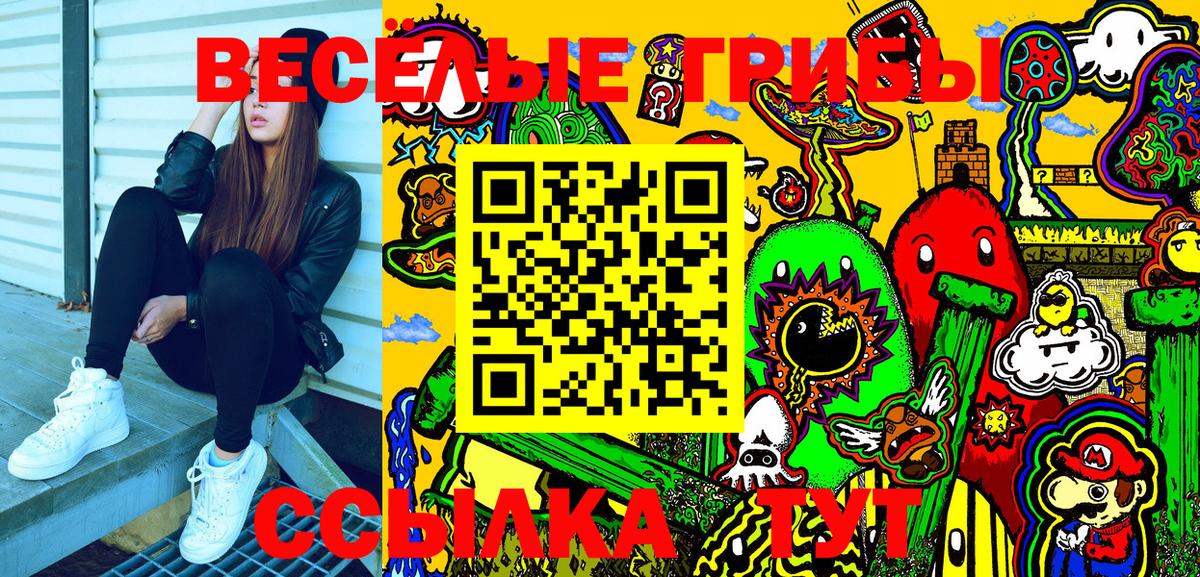 Переславль-Залесский  Галлюциногенные грибы Magic Shrooms  Вход с VPN 